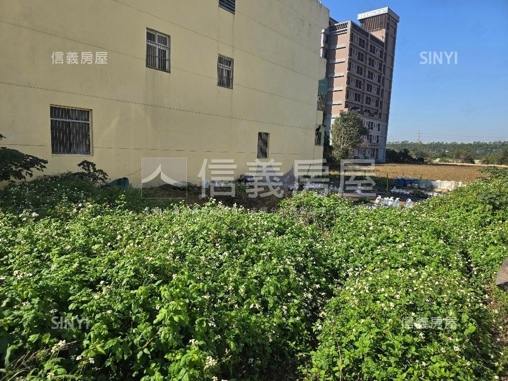 小農喜愛鄰路長方農地房屋室內格局與周邊環境