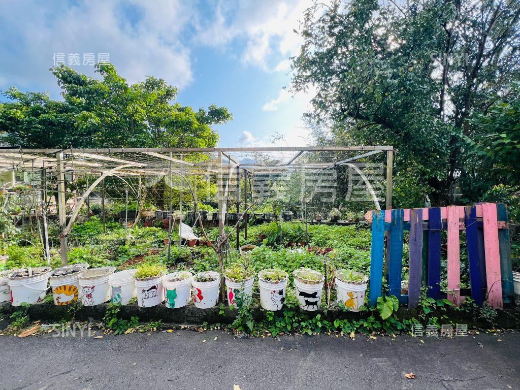 度假感明亮大露臺白雞別墅房屋室內格局與周邊環境