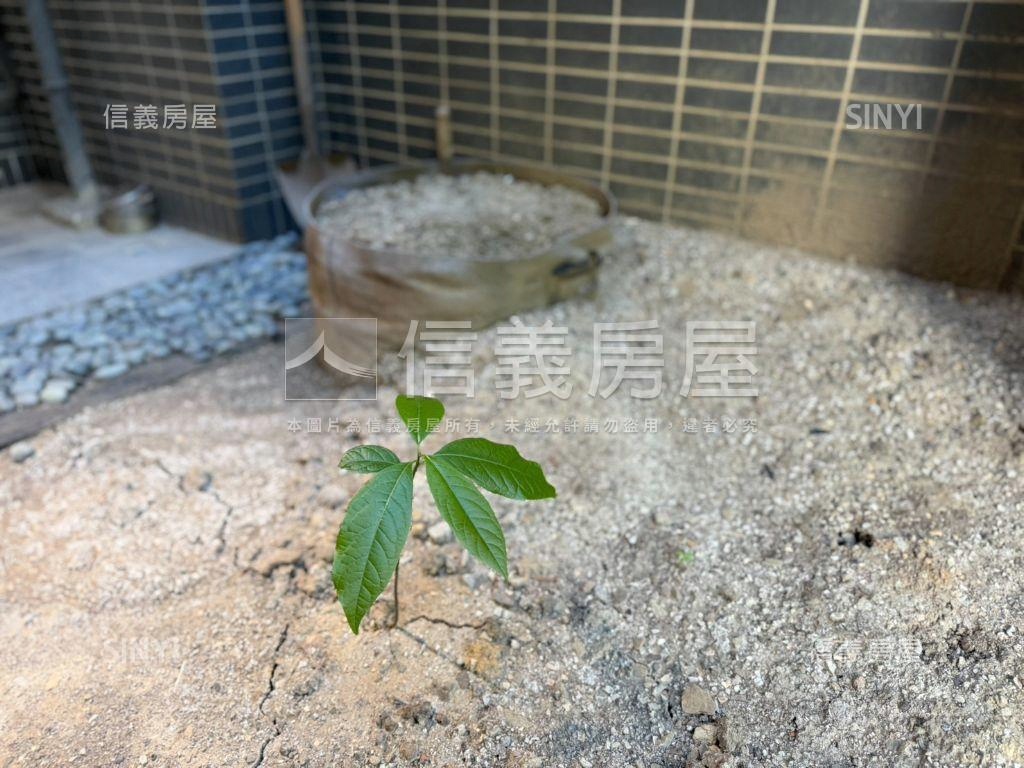 潤隆一樓庭院戶三房平車房屋室內格局與周邊環境
