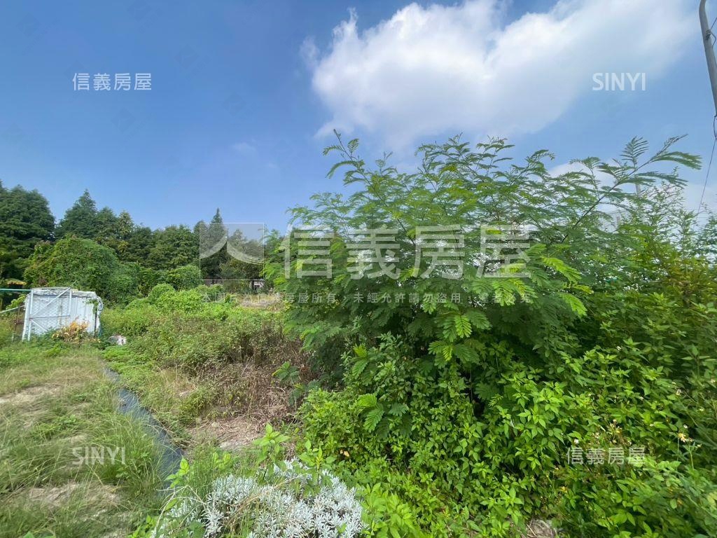 安和路農地Ｄ房屋室內格局與周邊環境