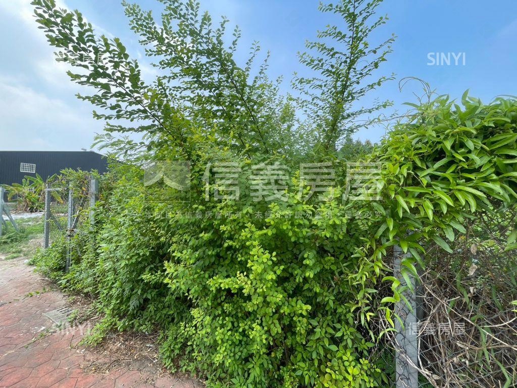 安和路農地Ｄ房屋室內格局與周邊環境