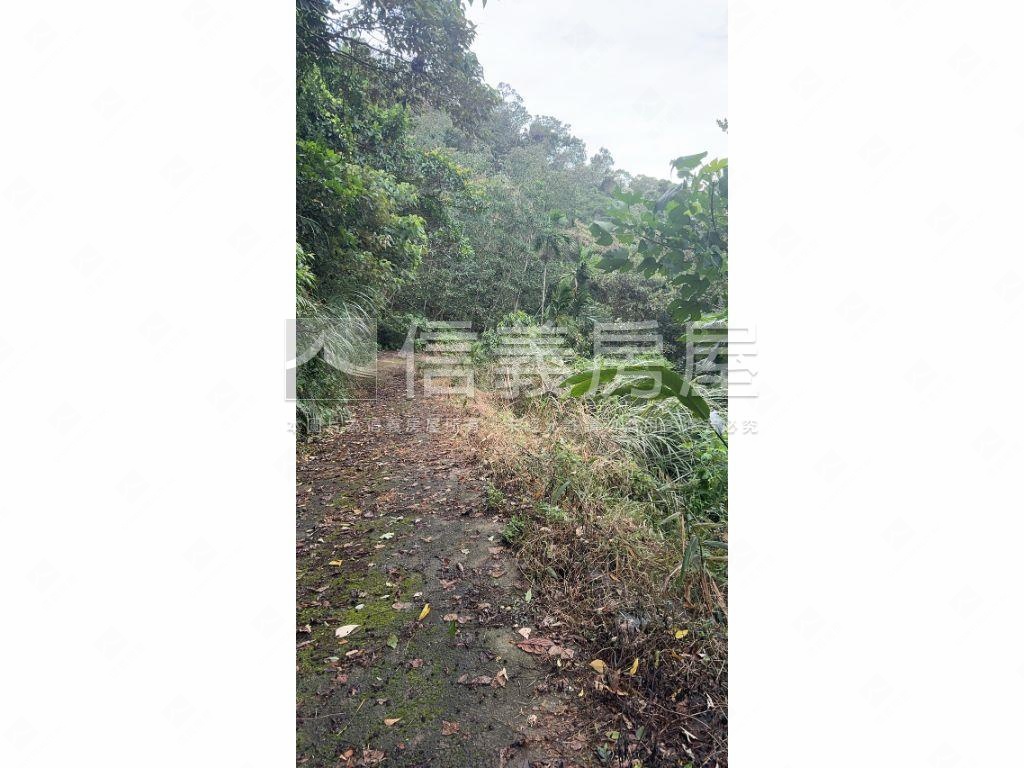 峨嵋土地１房屋室內格局與周邊環境