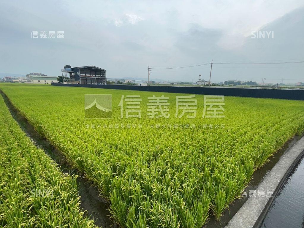 霧峰漂亮農地房屋室內格局與周邊環境