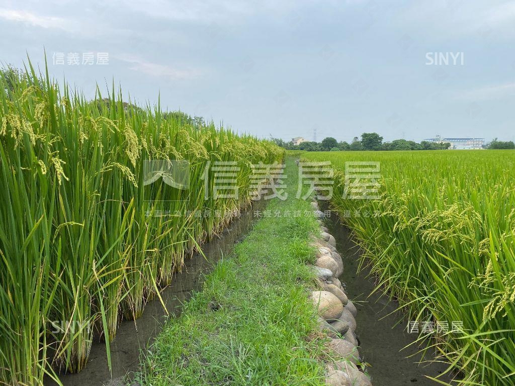 霧峰漂亮農地房屋室內格局與周邊環境