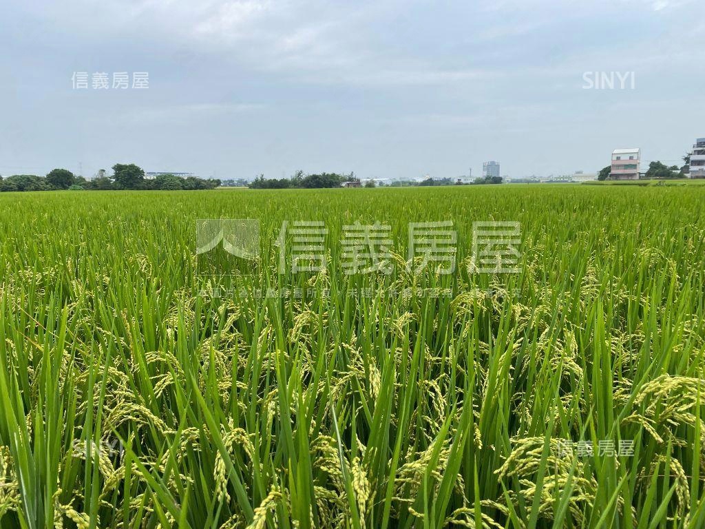 霧峰漂亮農地房屋室內格局與周邊環境