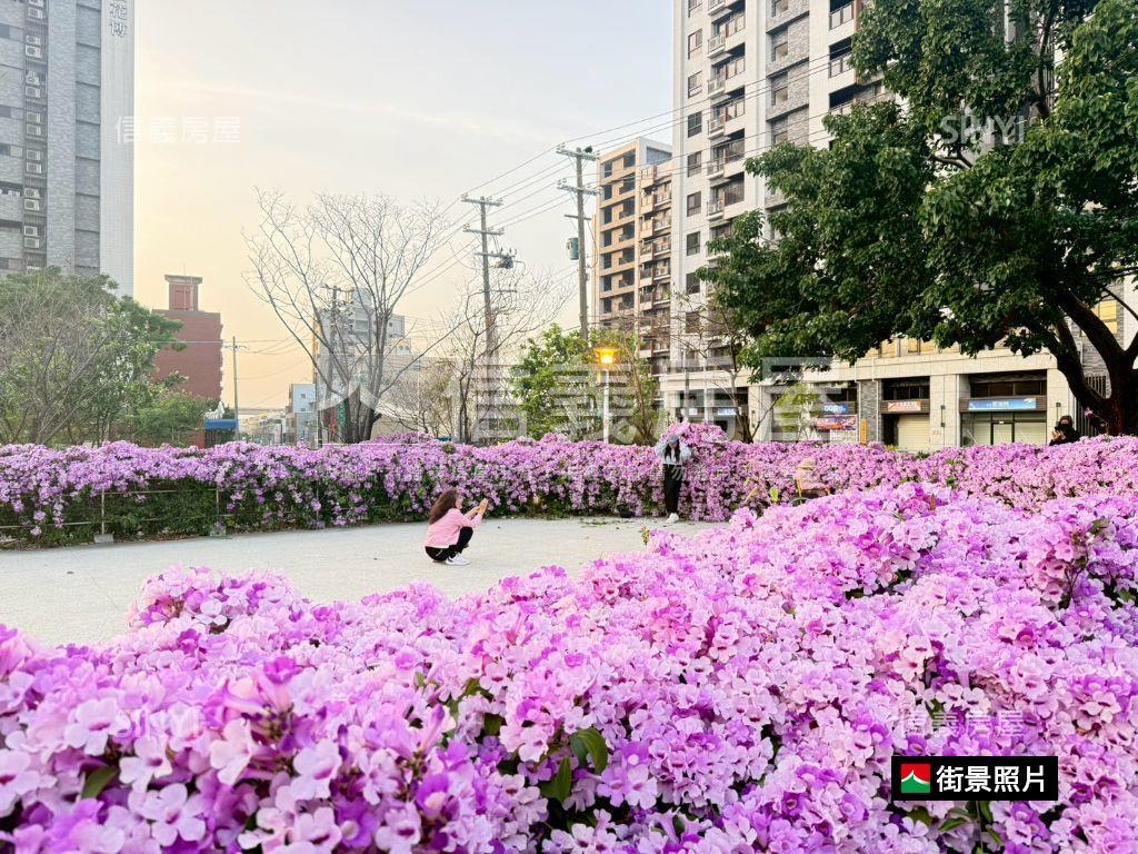 舞揚一綻溫馨美２房雙衛浴房屋室內格局與周邊環境