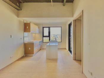 市政愛悅高樓視野２房車位