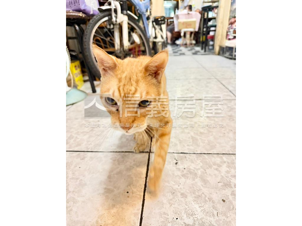劍潭三角窗傳家面寬金店房屋室內格局與周邊環境