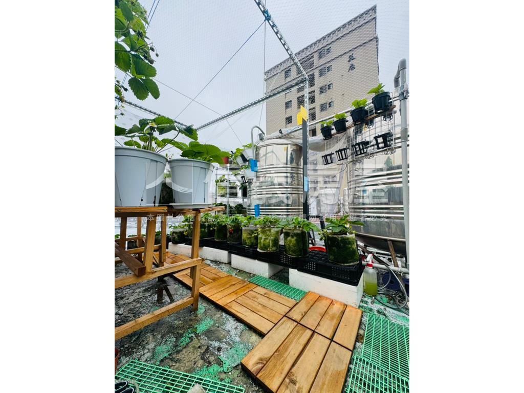 大竹｜福林居花園透天房屋室內格局與周邊環境