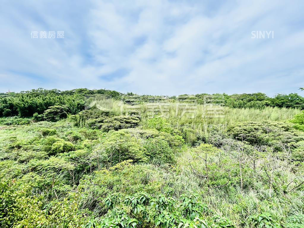 稀有迎旭街超強民宿風透天房屋室內格局與周邊環境