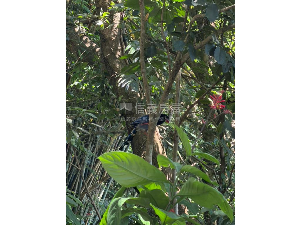 台北內湖千坪土地房屋室內格局與周邊環境