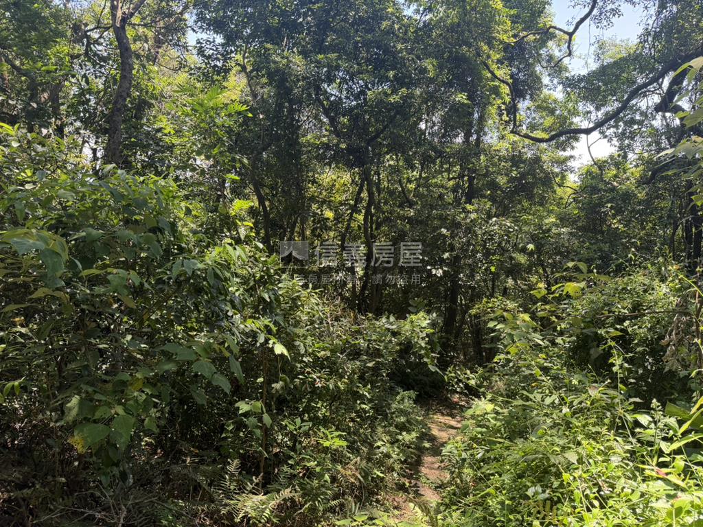 台北內湖千坪土地房屋室內格局與周邊環境