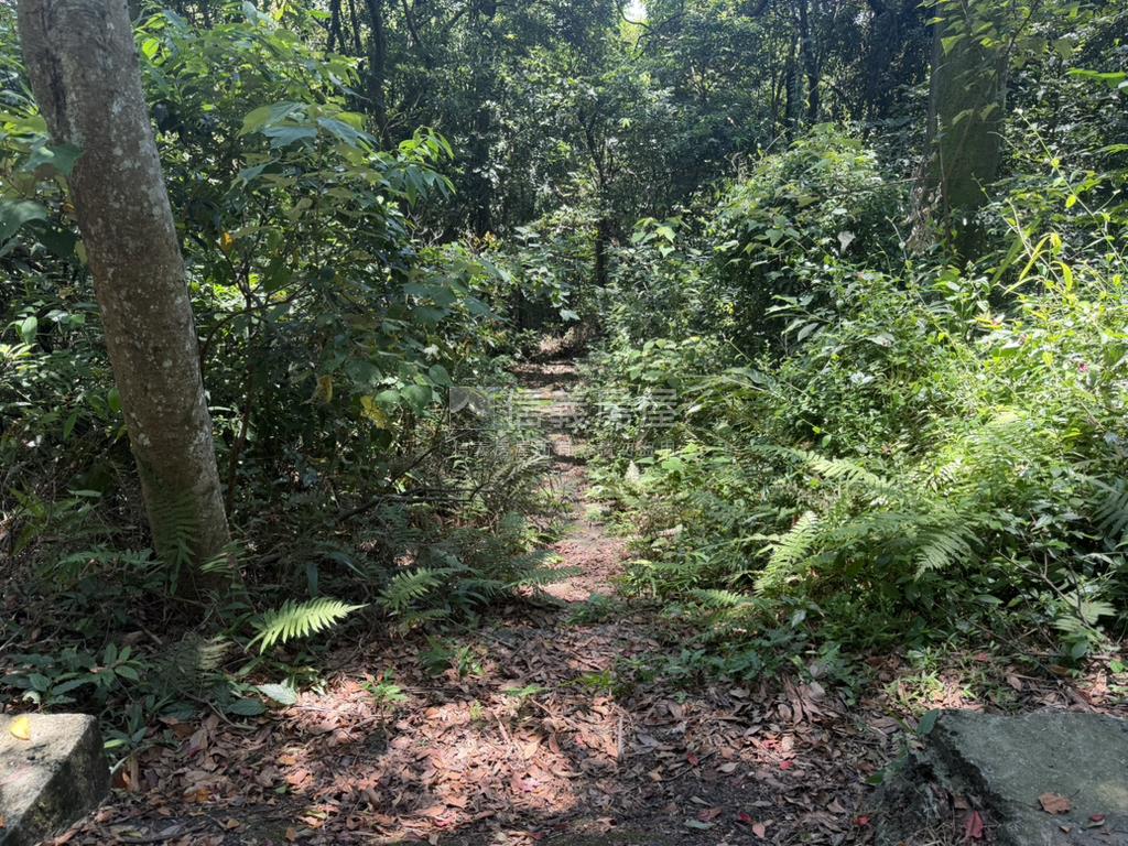 台北內湖千坪土地房屋室內格局與周邊環境