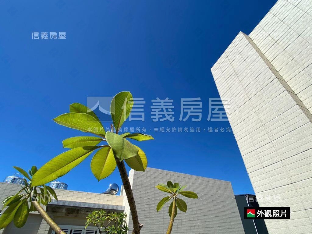 東區明亮併排大車庫墅房屋室內格局與周邊環境
