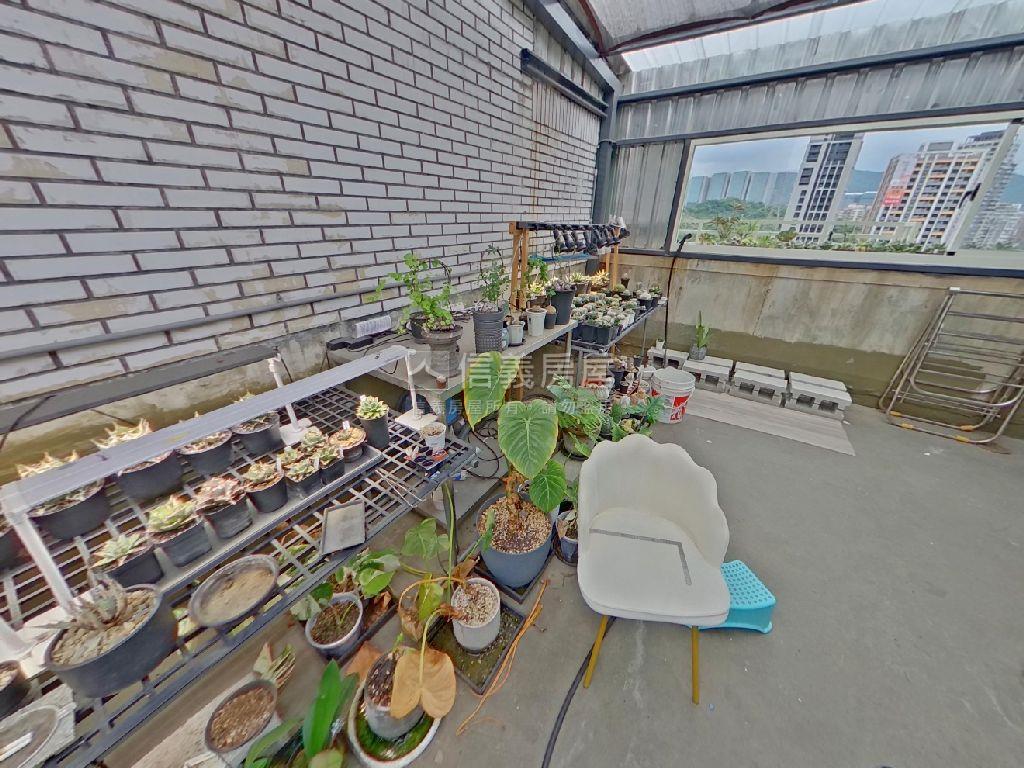 康寧街河景大空間房屋室內格局與周邊環境