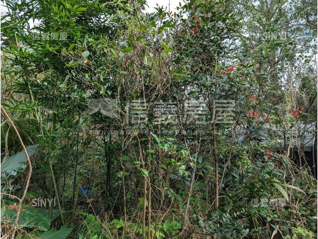 陽明山．世外桃源土地房屋室內格局與周邊環境