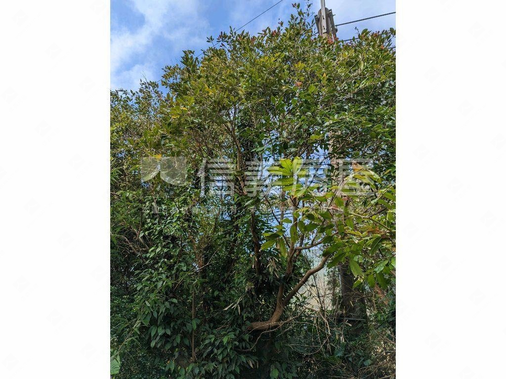 陽明山．世外桃源土地房屋室內格局與周邊環境