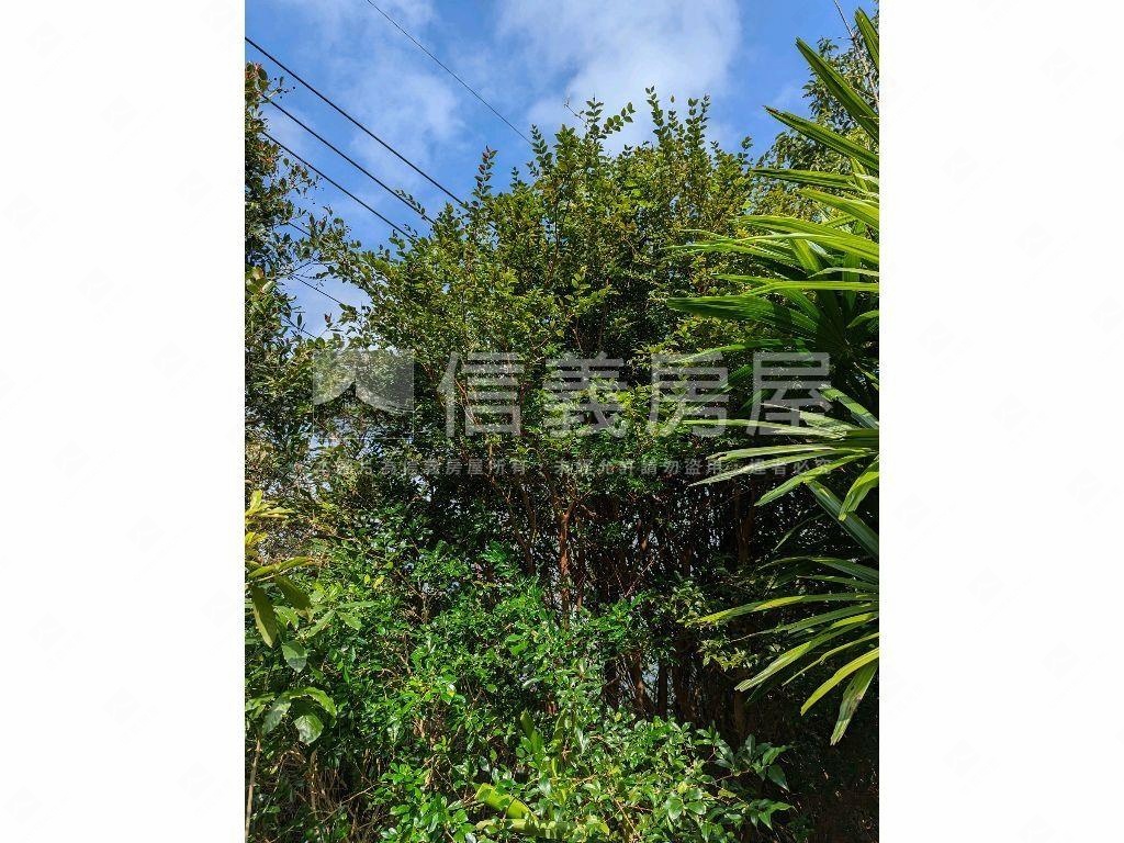 陽明山．世外桃源土地房屋室內格局與周邊環境