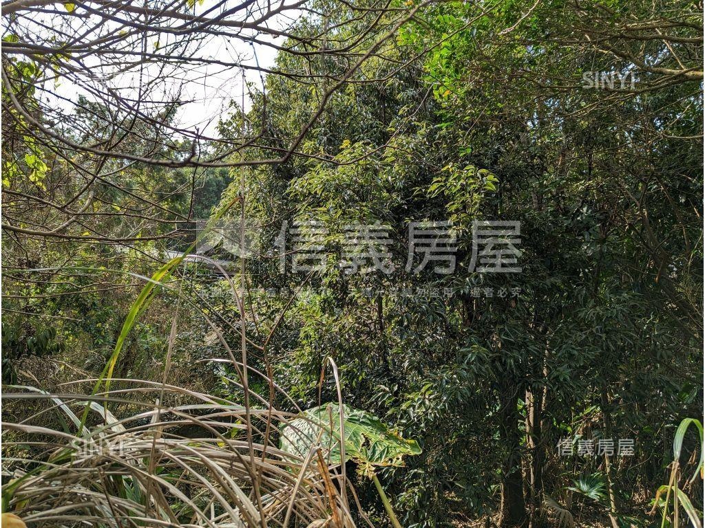 陽明山．世外桃源土地房屋室內格局與周邊環境