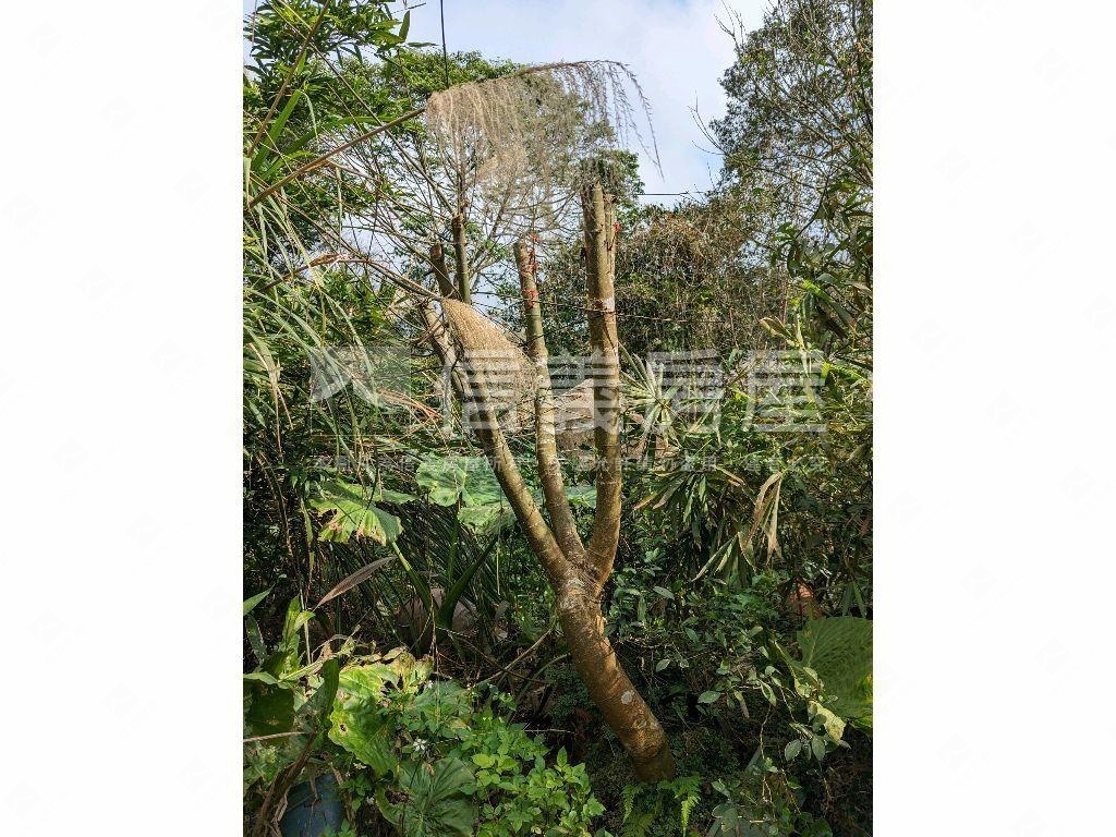 陽明山．世外桃源土地房屋室內格局與周邊環境