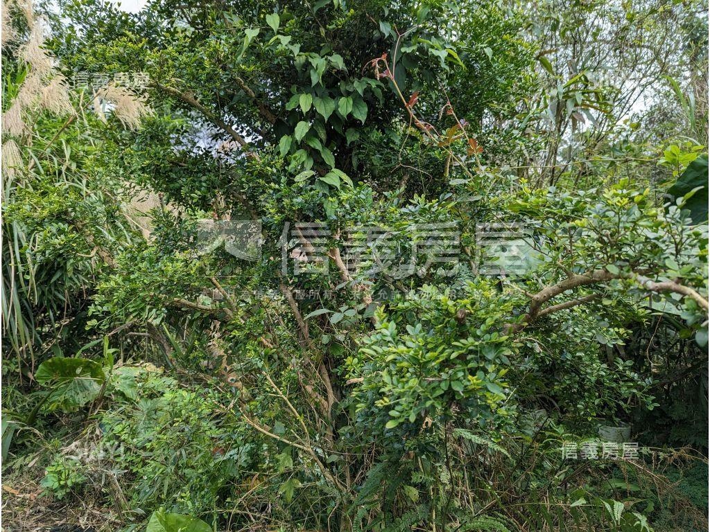 陽明山．世外桃源土地房屋室內格局與周邊環境