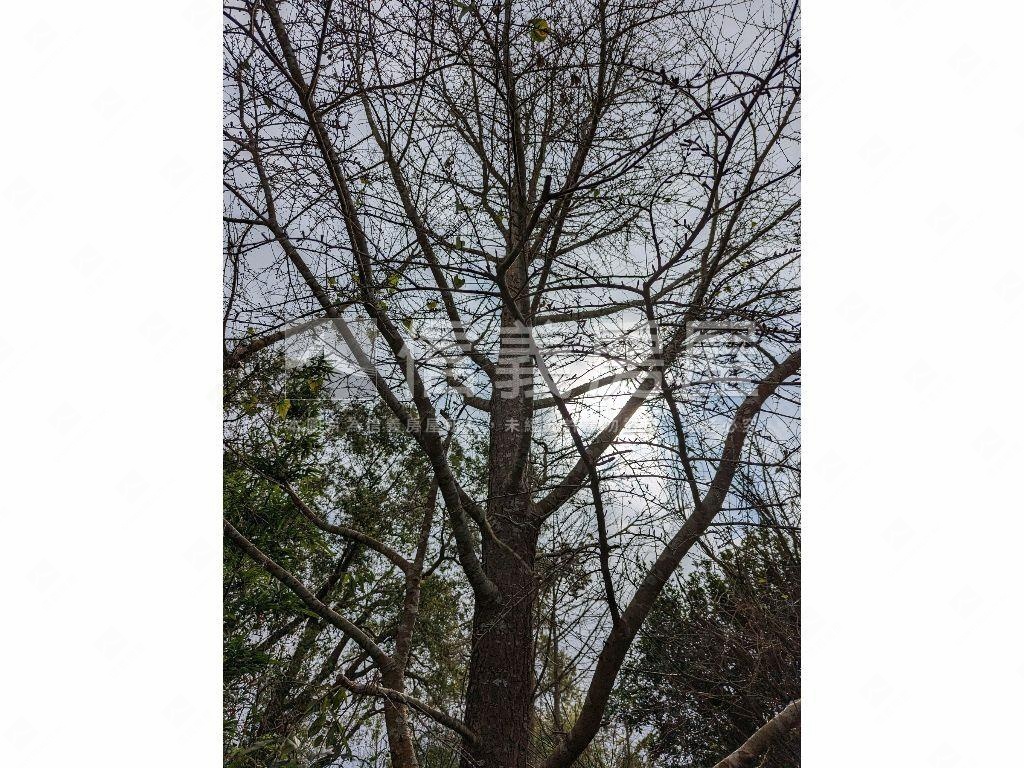 陽明山．世外桃源土地房屋室內格局與周邊環境