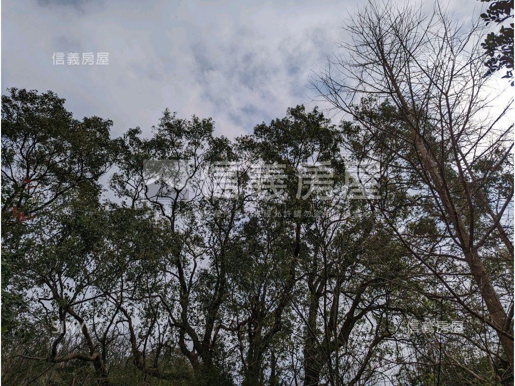 陽明山．世外桃源土地房屋室內格局與周邊環境