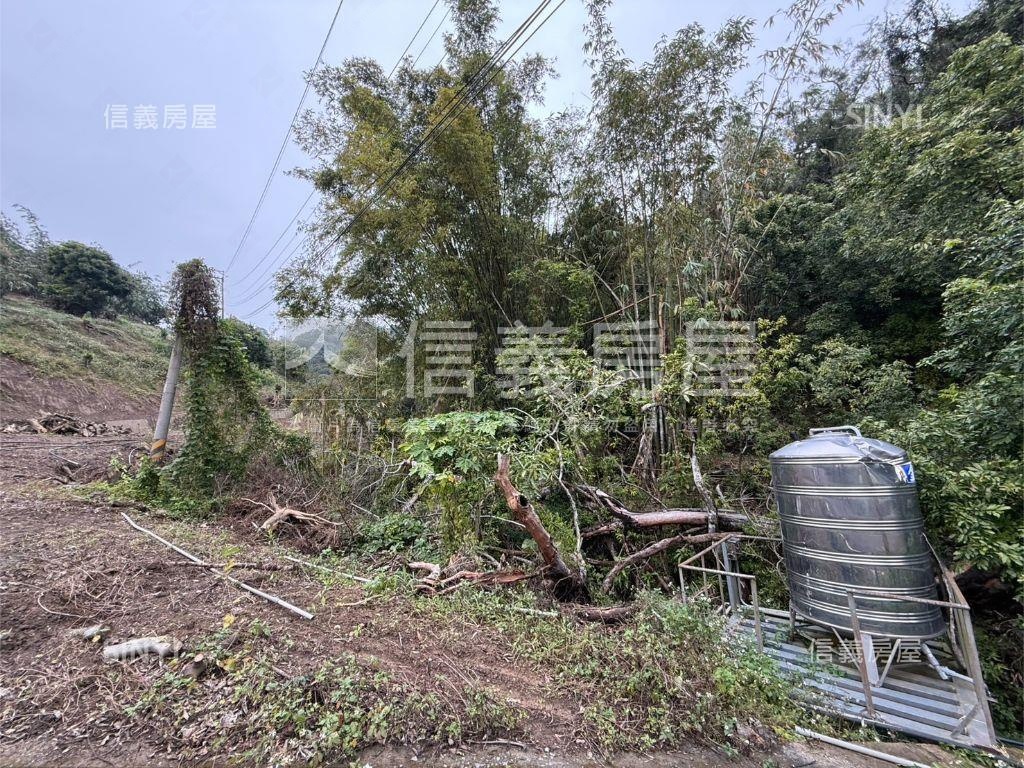 東山大地坪土地房屋室內格局與周邊環境