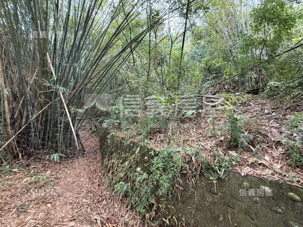 東山大地坪土地房屋室內格局與周邊環境