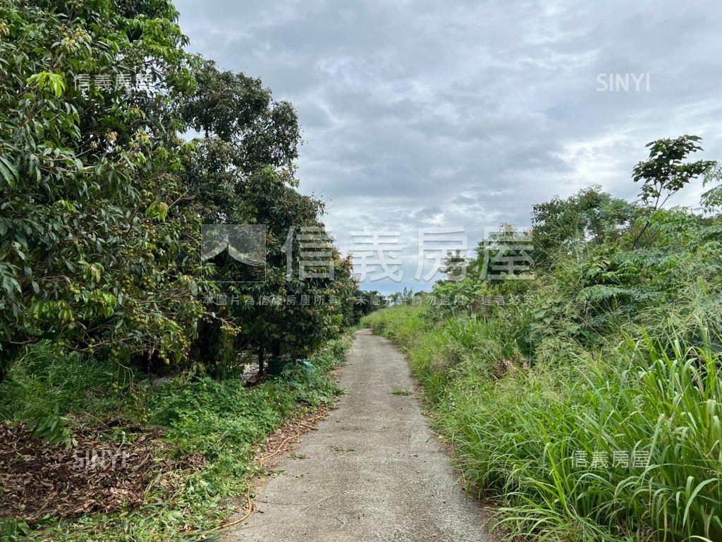 南投土地歡迎洽詢房屋室內格局與周邊環境