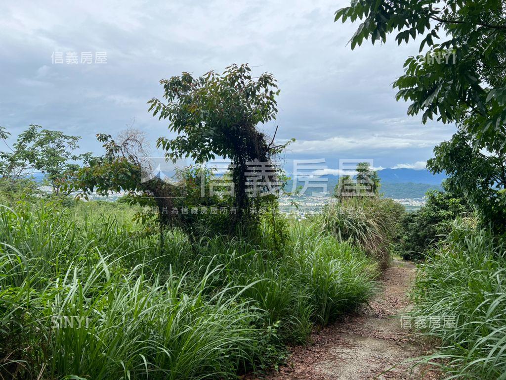 南投土地歡迎洽詢房屋室內格局與周邊環境