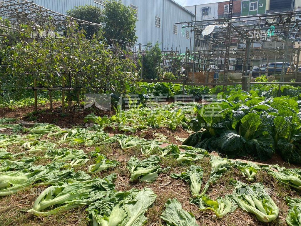 立全社區大肚公寓房屋室內格局與周邊環境