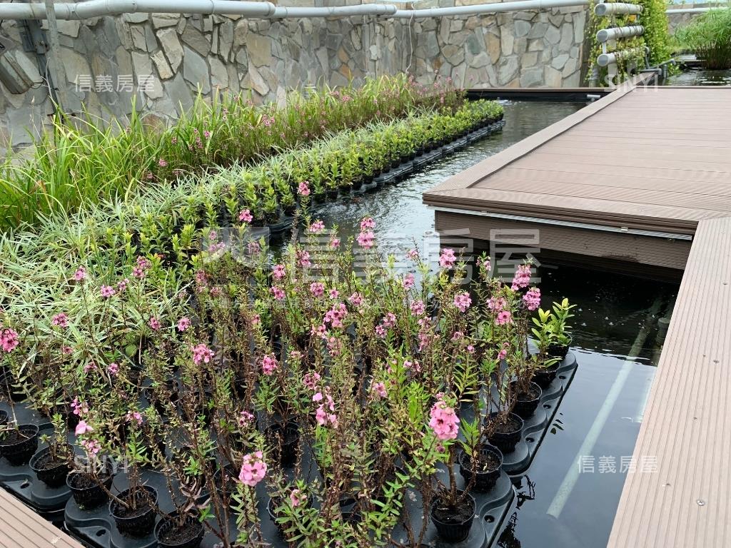 幸福城市α大尖山景房屋室內格局與周邊環境