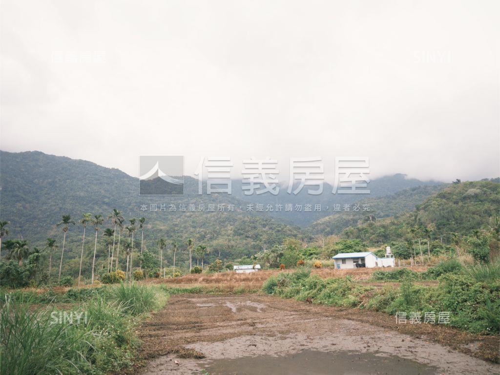 台東重安˙開心農地房屋室內格局與周邊環境