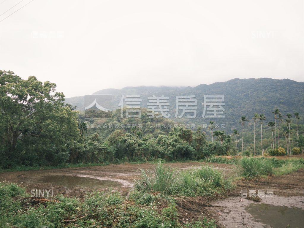 台東重安˙開心農地房屋室內格局與周邊環境