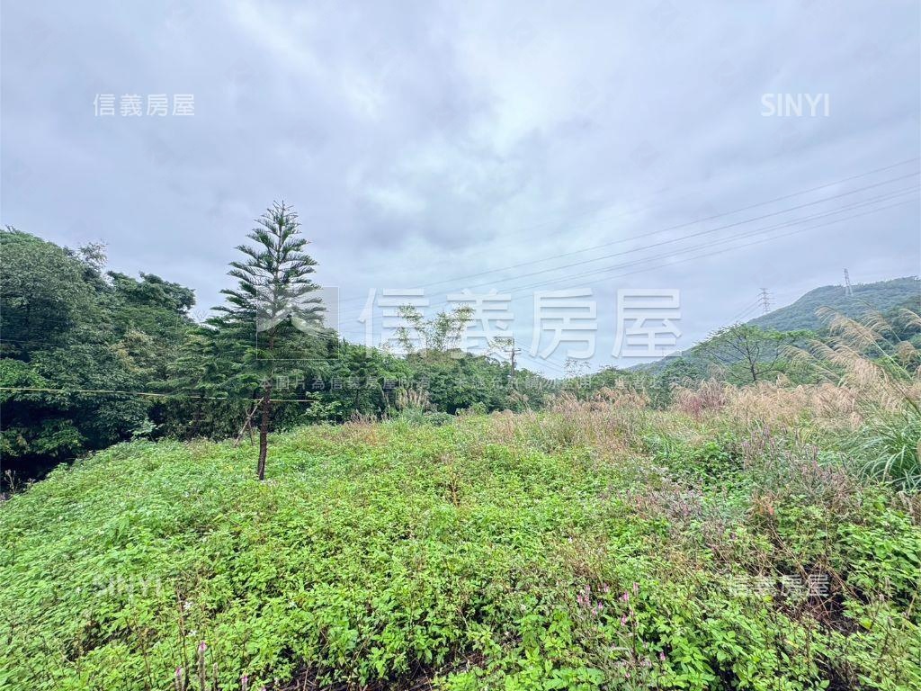 金山銀山土地房屋室內格局與周邊環境