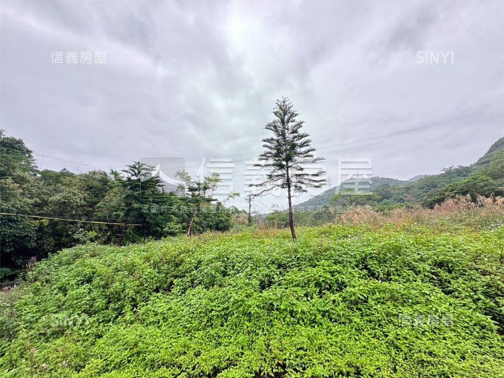 金山銀山土地房屋室內格局與周邊環境