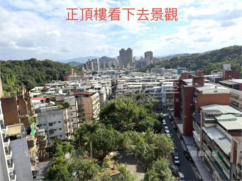 專任麗山學區電梯附坡平房屋室內格局與周邊環境