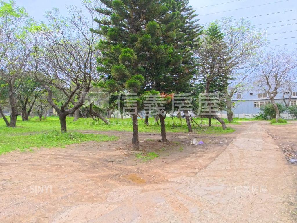 草漯３房車位巴黎時尚參房屋室內格局與周邊環境