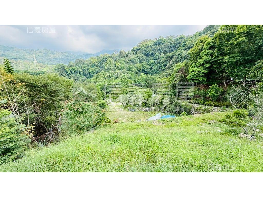 ★東勢★土地房屋室內格局與周邊環境