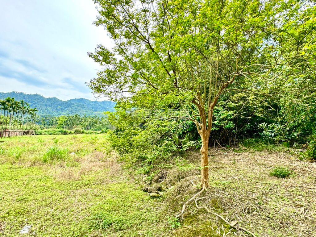【雙溪】大土地房屋室內格局與周邊環境