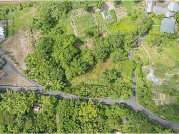 【雙溪】大土地