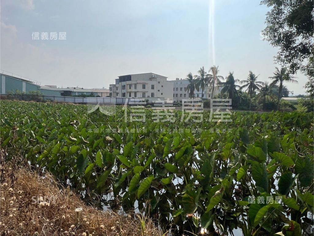 方正快樂小芋頭田房屋室內格局與周邊環境