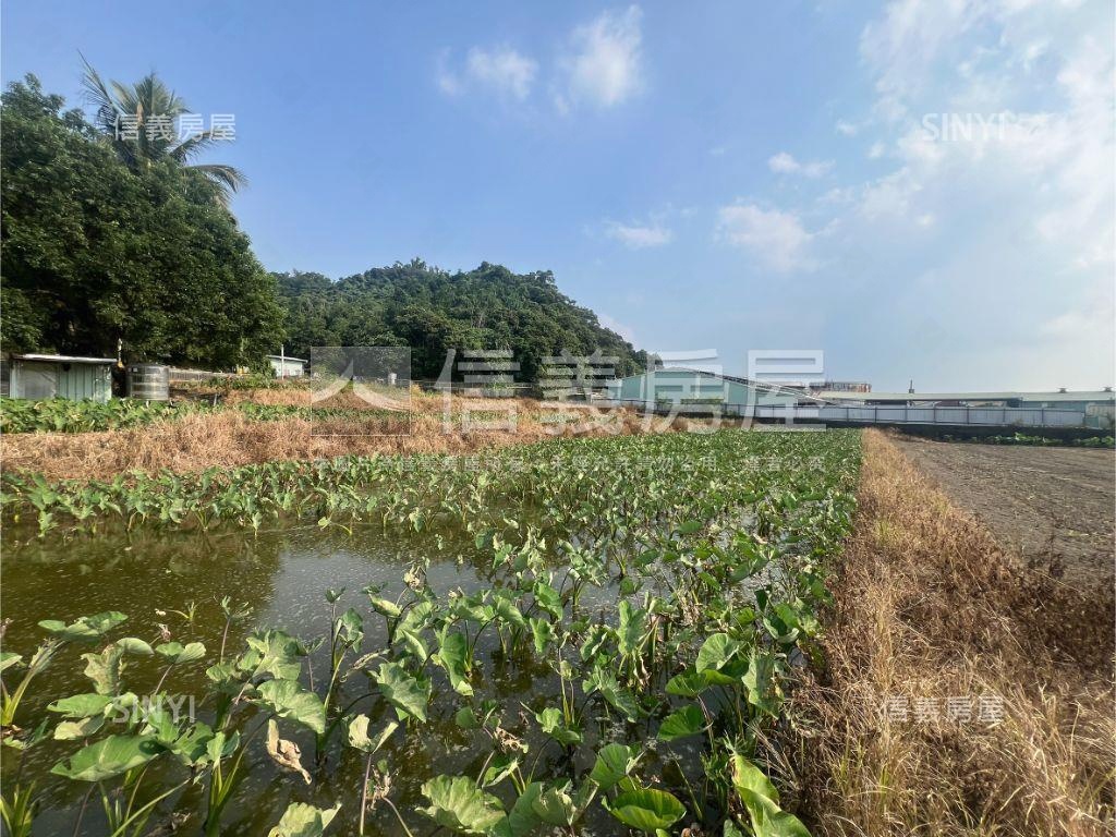 方正快樂小芋頭田房屋室內格局與周邊環境