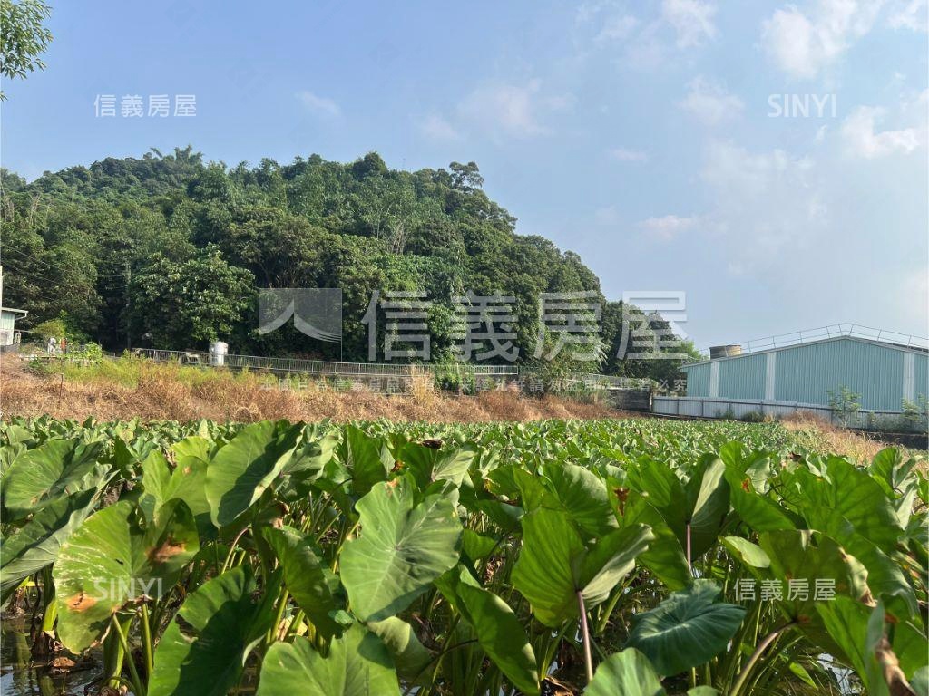 方正快樂小芋頭田房屋室內格局與周邊環境