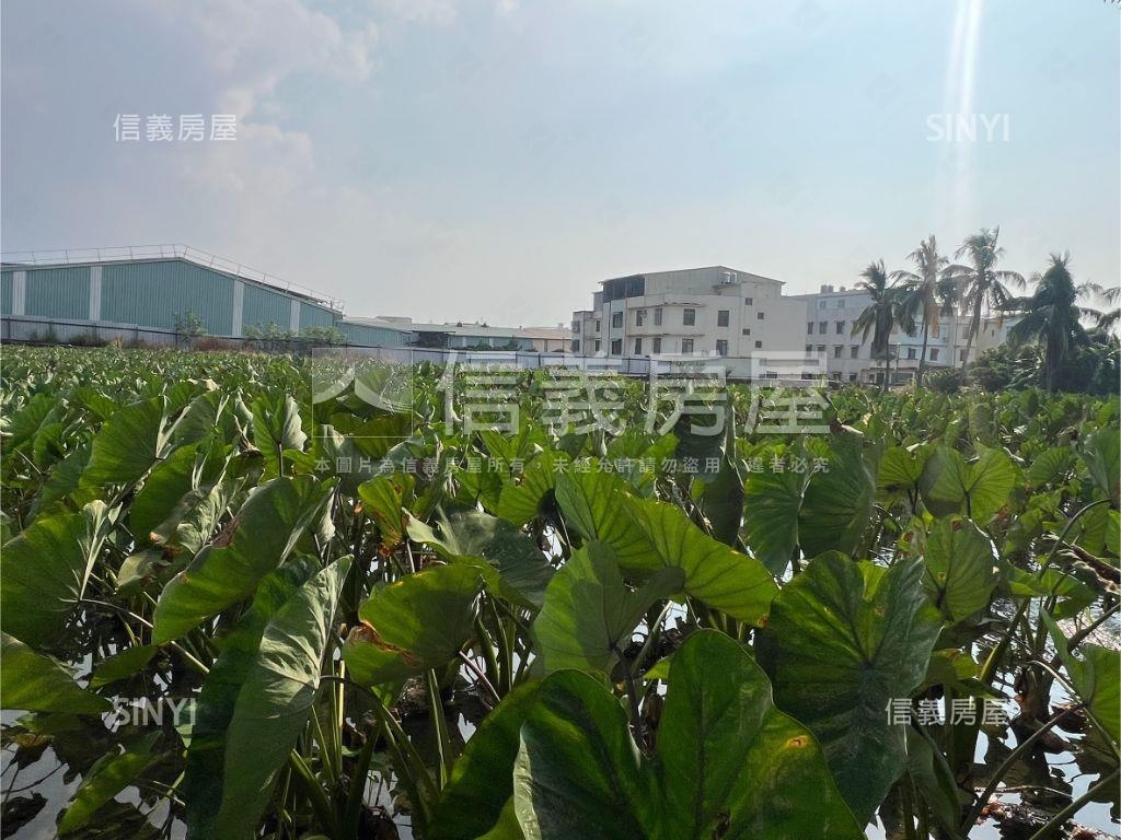 方正快樂小芋頭田房屋室內格局與周邊環境