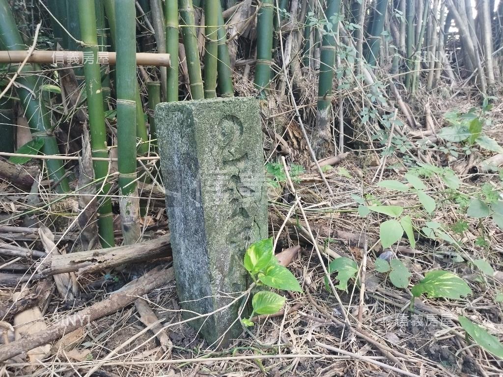 吉祥寺旁持分竹林地房屋室內格局與周邊環境