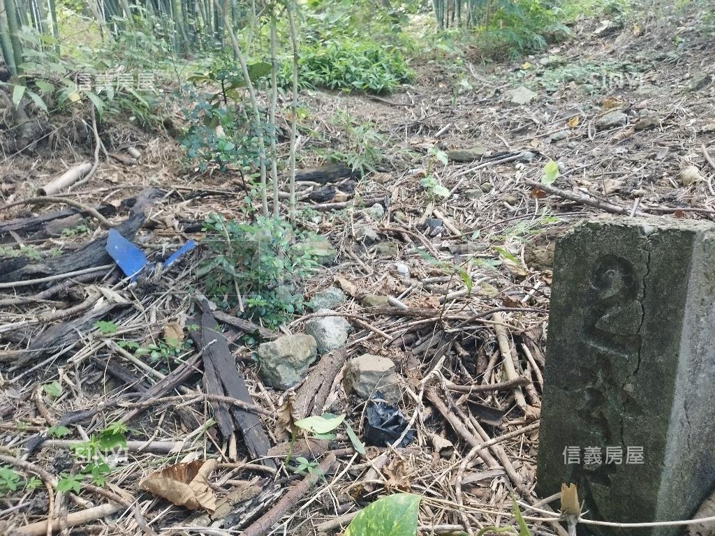 吉祥寺旁持分竹林地房屋室內格局與周邊環境