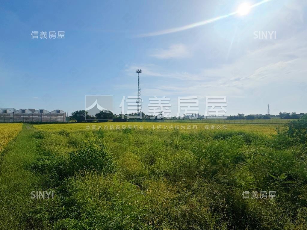 桃園新屋土地房屋室內格局與周邊環境