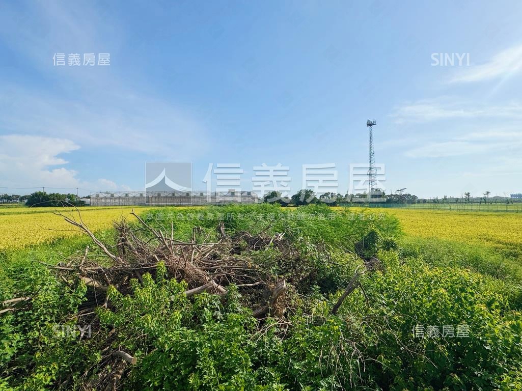 桃園新屋土地房屋室內格局與周邊環境